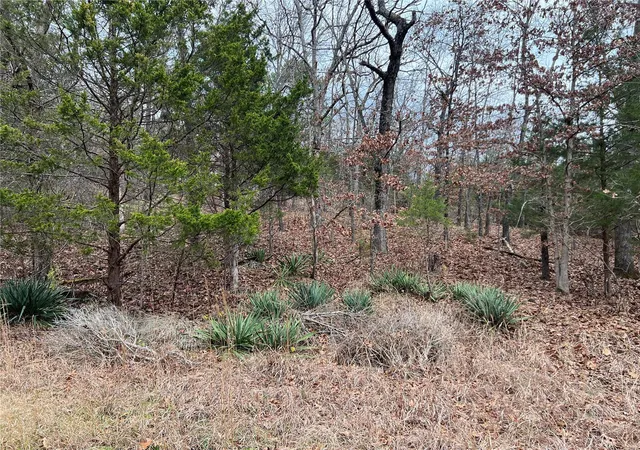 Photo 3 of Sale Pending at 500 Pamela Ct, Bonne Terre, MO 63628 | MLS# 24073064 | Listing updated on 2024-12-07