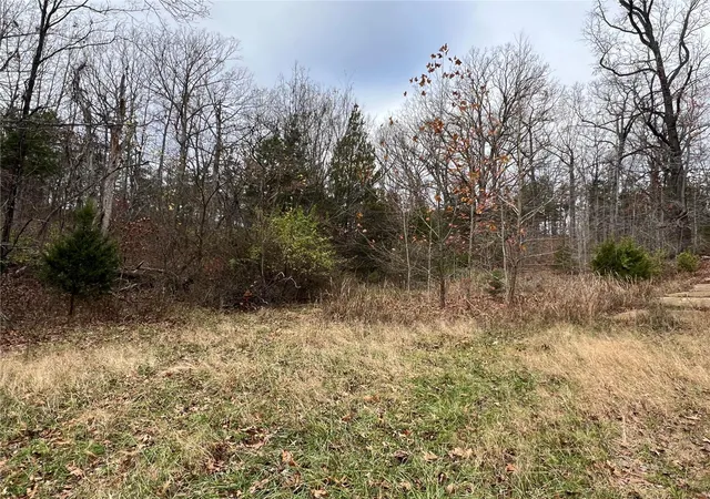 Photo 3 of Sale Pending at 500 Pamela Ct, Bonne Terre, MO 63628 | MLS# 24073064 | Listing updated on 2024-12-07
