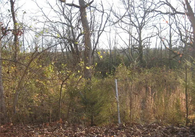 Photo 3 of Land for sale at 0 Easton St, De Soto, MO 63020 | MLS# 24073418 | Listing updated on 2024-12-17