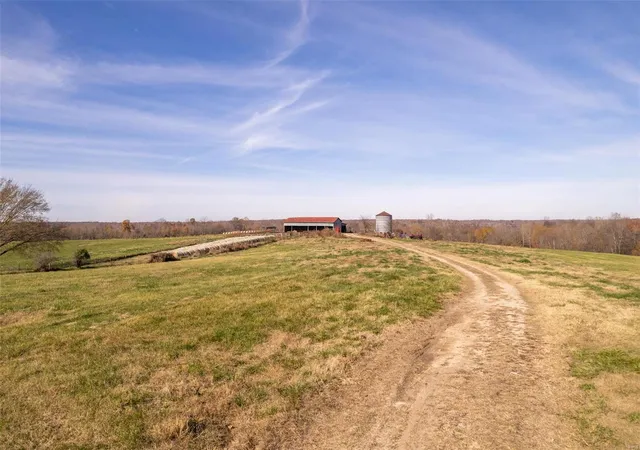 Photo 3 of Land for sale at 0 Hwy V, Harviell, MO 63945 | MLS# 24073610 | Listing updated on 2024-12-04