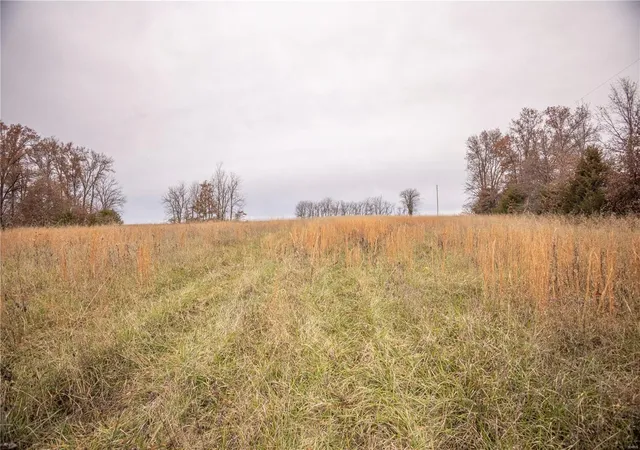 Photo 2 of Land for sale at 819 Monroe Road, Paris, MO 65275 | MLS# 24073761 | Listing updated on 2024-12-02