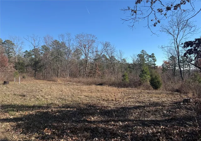 Photo 4 of House for sale at 0 Tract 2 Off Bidwell Crk Rd, Fredericktown, MO 63645 | MLS# 24074209 | Listing updated on 2024-12-14