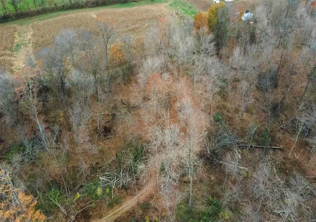 20th image of 1074 County Road 512, Altenburg, MO 63732 | MLS# 24074407