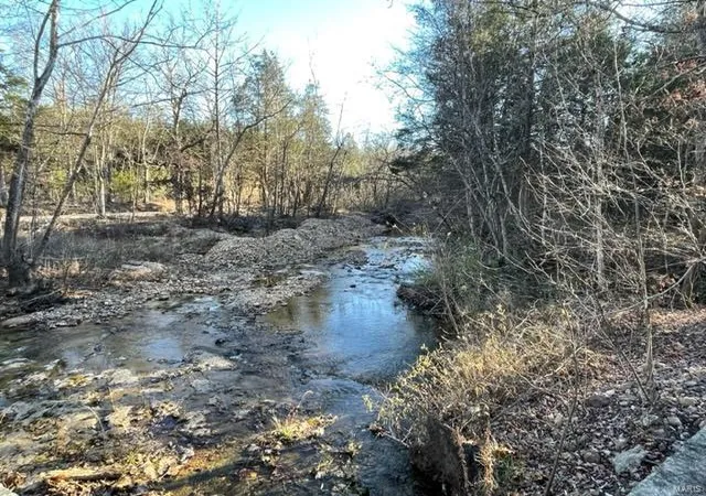 Photo 73 of Land for sale at 2252 Madison 451, Des Arc, MO 63636 | MLS# 24075194 | Listing updated on 2024-12-10
