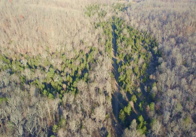 Photo 1 of Land for sale at 3498 State Hwy E, Advance, MO 63730 | MLS# 24075394 | Listing updated on 2024-12-11