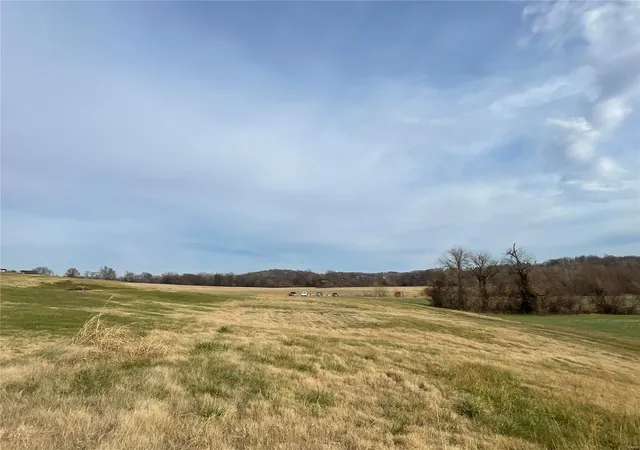 Photo 2 of Land for sale at 0 Benton Rd, Jackson, MO 63755 | MLS# 24075963 | Listing updated on 2024-12-16