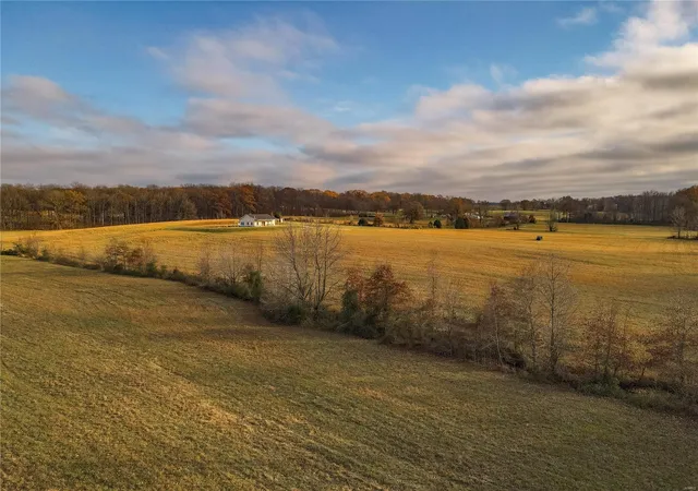 Photo 40 of Land for sale at 16639 County Road 420, Bloomfield, MO 63825 | MLS# 24076353 | Listing updated on 2024-12-17