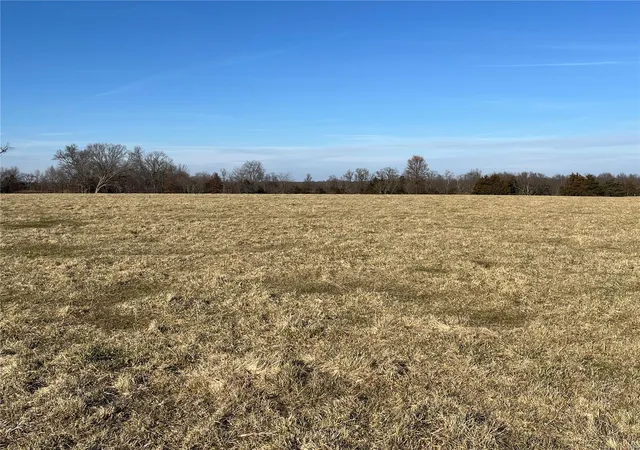 Photo 1 of Land for sale at 0 Hwy E, Bellflower, MO 63333 | MLS# 24076751 | Listing updated on 2025-03-04