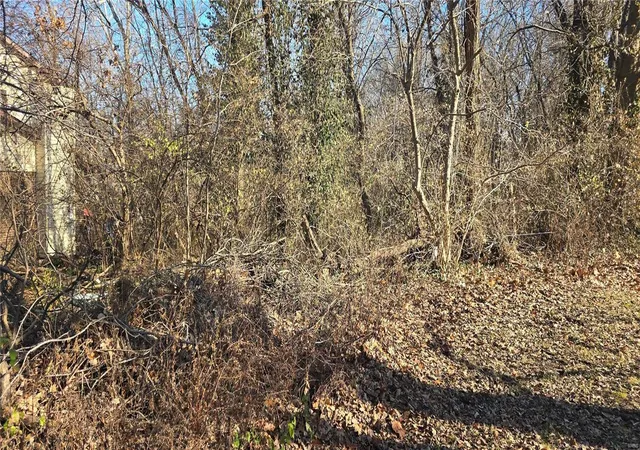 Photo 3 of Land for sale at 0 Nottingham Rd, Belleville, IL 62223 | MLS# 24076812 | Listing updated on 2024-12-20