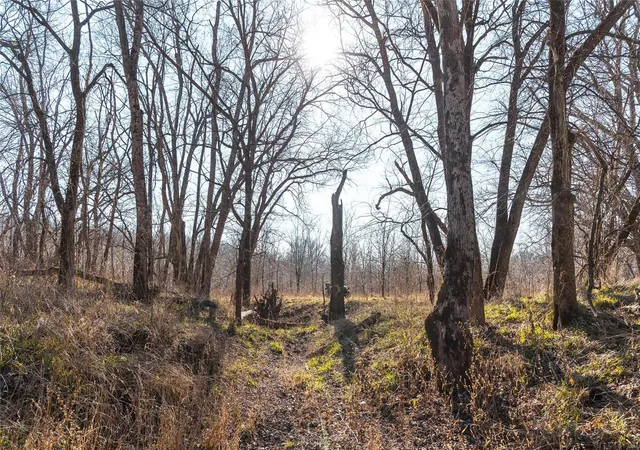 Photo 6 of Sale Pending at 477 Windes Ridge Road Tract 2, Richland, MO 65556 | MLS# 24076870 | Listing updated on 2025-03-13