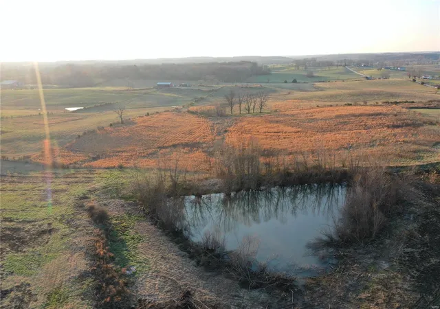 Photo 2 of Land for sale at 7432 County Rd 284, Puxico, MO 63960 | MLS# 24076947 | Listing updated on 2024-12-20