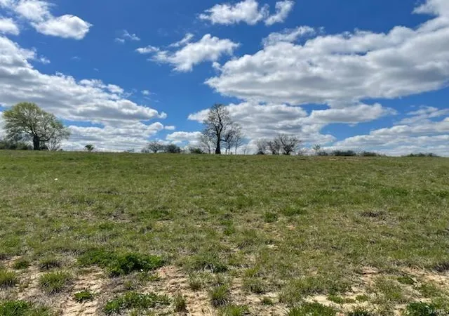 Photo 1 of Land for sale at 203 Haydens Trl, Jackson, MO 63755 | MLS# 24076979 | Listing updated on 2024-12-20