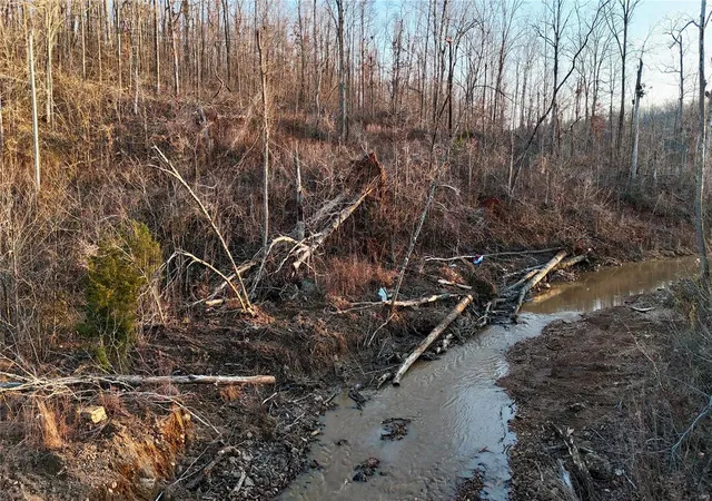 Photo 2 of Land for sale at 0 Hwy 34, Glenallen, MO 63751 | MLS# 24078590 | Listing updated on 2024-12-27