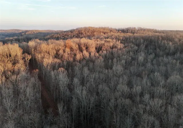 Photo 24 of Land for sale at 0 Hwy 34, Glenallen, MO 63751 | MLS# 24078590 | Listing updated on 2024-12-27