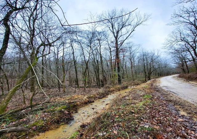 Photo 4 of House for sale at 0 County Road 472, Poplar Bluff, MO 63901 | MLS# 25000180 | Listing updated on 2025-01-02
