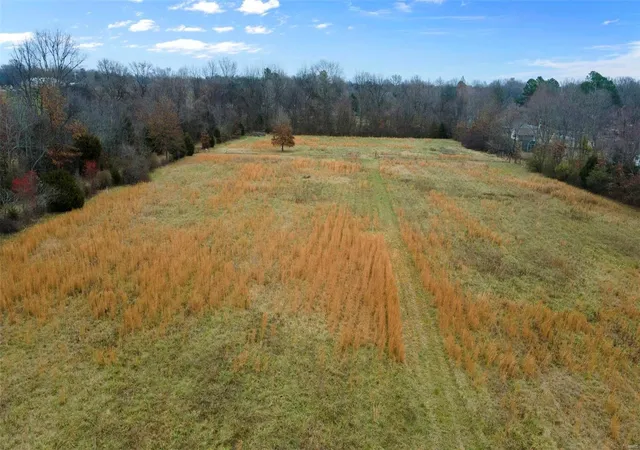 Photo 4 of Land for sale at 0 W Monroe Ave, Campbell, MO 63933 | MLS# 25000239 | Listing updated on 2025-01-02