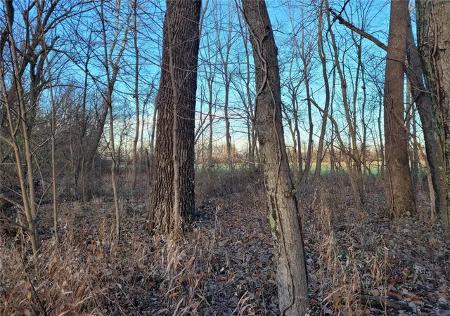 Photo 46 of Land for sale at 0 Bales Rd (818+/  Acres), Middletown, MO 63359 | MLS# 25000471 | Listing updated on 2025-01-05