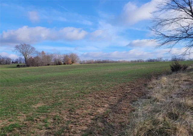 Photo 1 of Land for sale at 0 Bales Rd (553+/  Acres), Middletown, MO 63359 | MLS# 25000754 | Listing updated on 2025-01-07