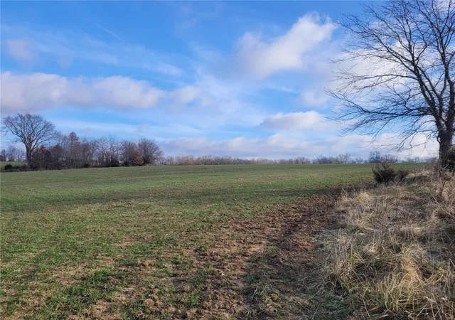 Photo 1 of Land for sale at 0 Bales Rd (265+/  Acres), Middletown, MO 63359 | MLS# 25000820 | Listing updated on 2025-01-08