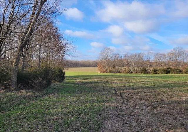 Photo 2 of Land for sale at 0 Bales Rd (265+/  Acres), Middletown, MO 63359 | MLS# 25000820 | Listing updated on 2025-01-08