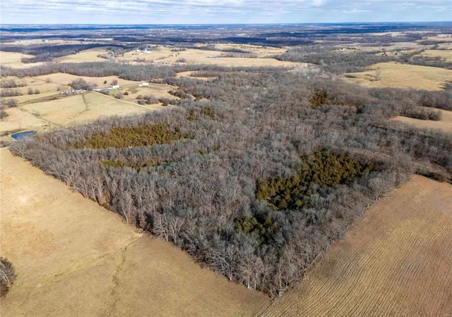 Photo 2 of Land for sale at 0 Monroe Road 1130, Madison, MO 65263 | MLS# 25000966 | Listing updated on 2025-01-07