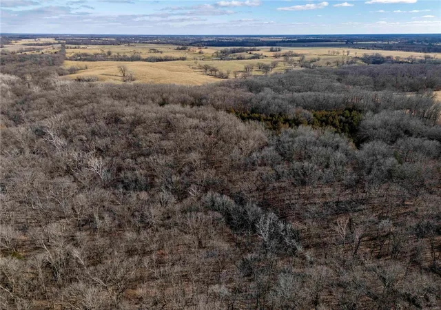 Photo 54 of Land for sale at 0 Monroe Road 1130, Madison, MO 65263 | MLS# 25000966 | Listing updated on 2025-01-07