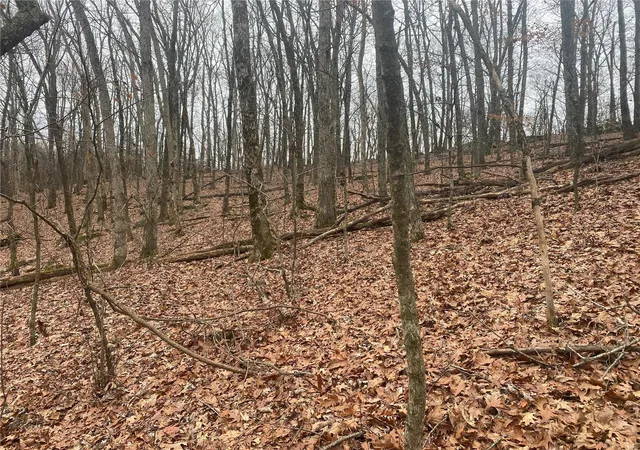 Photo 2 of Land for sale at 34 Motley Rd, Hermann, MO 65041 | MLS# 25001097 | Listing updated on 2025-01-08
