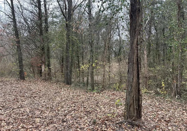 Photo 3 of Sale Pending at 411 Oak Dr, Gray Summit, MO 63039 | MLS# 25001245 | Listing updated on 2025-03-09
