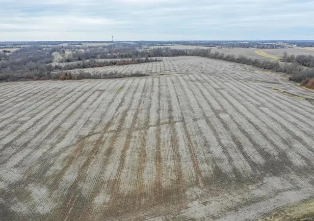 Photo 2 of Sale Pending at 19358 Hwy Ff, New London, MO 63459 | MLS# 25001359 | Listing updated on 2025-03-18