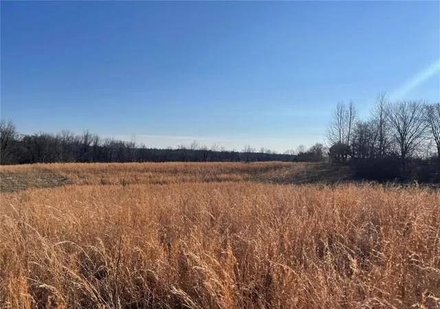 1st image of 5184 Hwy T, Poplar Bluff, MO 63901 | MLS# 25002472
