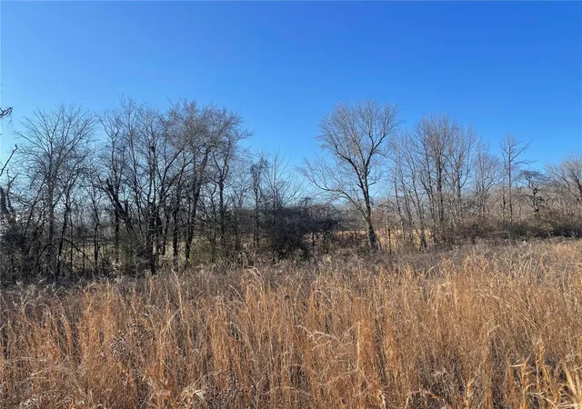 15th image of 5184 Hwy T, Poplar Bluff, MO 63901 | MLS# 25002472