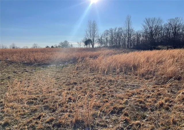 2nd image of 5184 Hwy T, Poplar Bluff, MO 63901 | MLS# 25002472