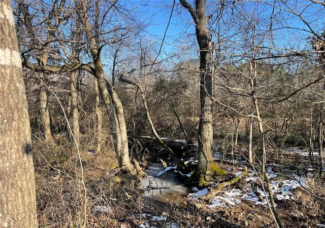 3rd image of 5184 Hwy T, Poplar Bluff, MO 63901 | MLS# 25002472