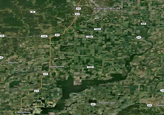 Photo 25 of Land for sale at 0 County Road 268, Neelyville, MO 63954 | MLS# 25002501 | Listing updated on 2025-01-17
