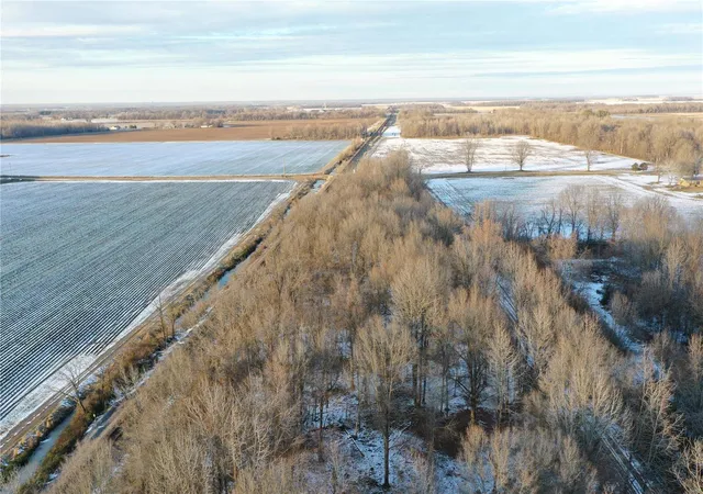 Photo 3 of Land for sale at 0 County Road 268, Neelyville, MO 63954 | MLS# 25002501 | Listing updated on 2025-01-17