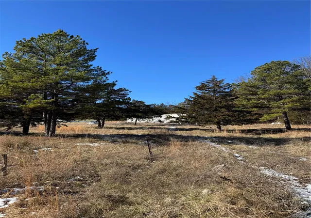 Photo 3 of Land for sale at 0 Walnut Road   Tract B, Unincorporated, MO 70072 | MLS# 25002550 | Listing updated on 2025-01-18