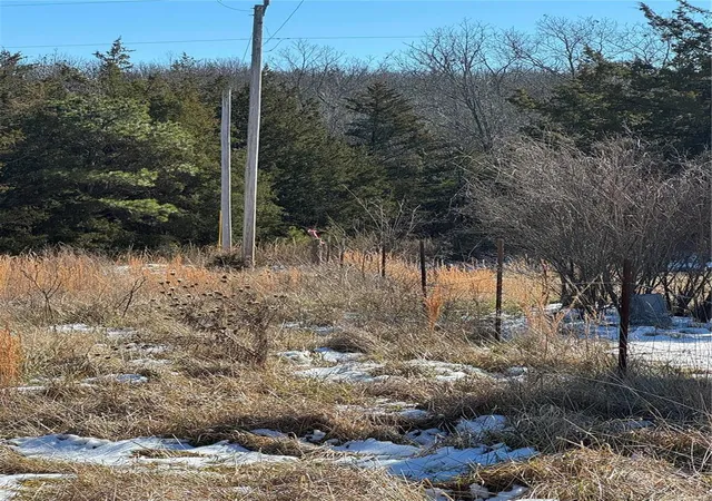 Photo 3 of Land for sale at 0 Walnut Road - Tract B, Unincorporated, MO 70072 | MLS# 25002550 | Listing updated on 2025-01-18