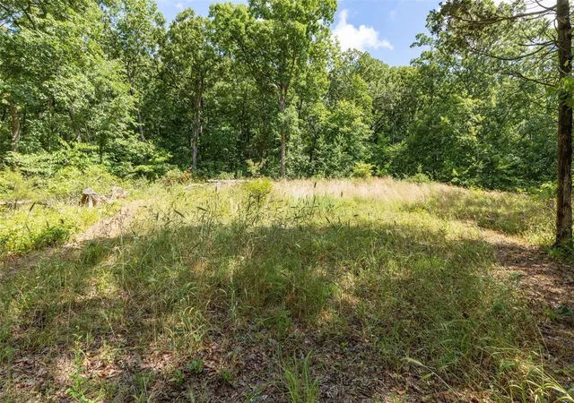 1st image of 3171 Flucom Rd, De Soto, MO 63020 | MLS# 25002855
