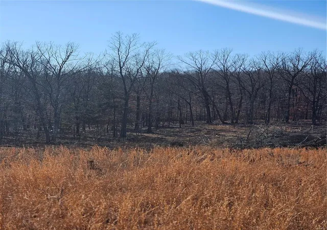 Photo 1 of Land for sale at 17712 Bcr 506, Glen Allen, MO 63751 | MLS# 25003674 | Listing updated on 2025-02-28