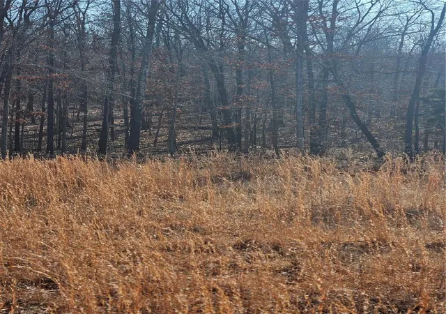Photo 2 of Land for sale at 17712 Bcr 506, Glen Allen, MO 63751 | MLS# 25003674 | Listing updated on 2025-02-28