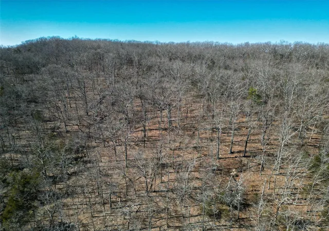 Photo 47 of Land for sale at 1 Off Hwy D, Ironton, MO 63650 | MLS# 25003825 | Listing updated on 2025-01-28