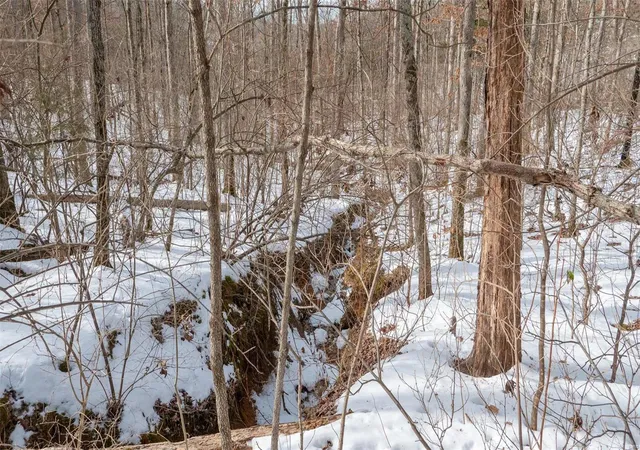 Photo 23 of Land for sale at 29129 Pinnacle Lake Road, New Florence, MO 63363 | MLS# 25003874 | Listing updated on 2025-03-03