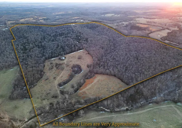 Homes for sale in Gainesville, MO | 25785 Us Hwy 160, Gainesville, MO 65655 | MLS# 25004123