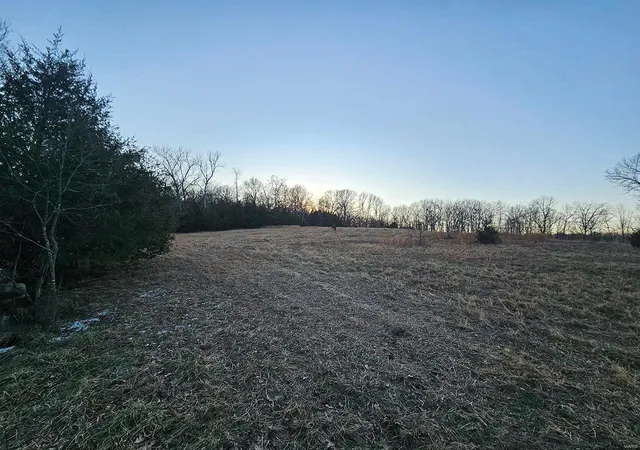 Homes for sale in Gainesville, MO | 25785 Us Hwy 160, Gainesville, MO 65655 | MLS# 25004123