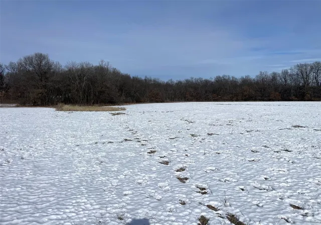 Photo 2 of Land for sale at 0 Honey Locust Rd, Jonesburg, MO 63351 | MLS# 25004372 | Listing updated on 2025-01-29