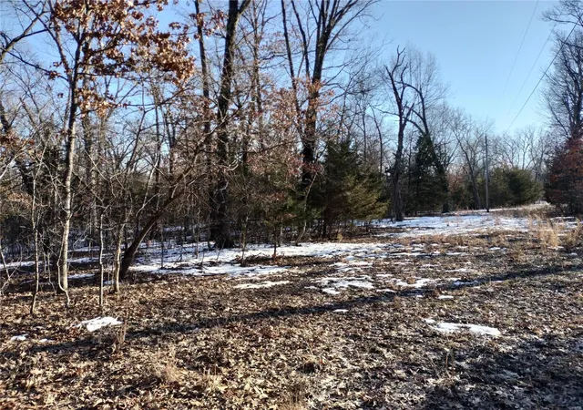 Photo 1 of Land for sale at 231 Dogwood Ln, Williamsburg, MO 63388 | MLS# 25004441 | Listing updated on 2025-01-30
