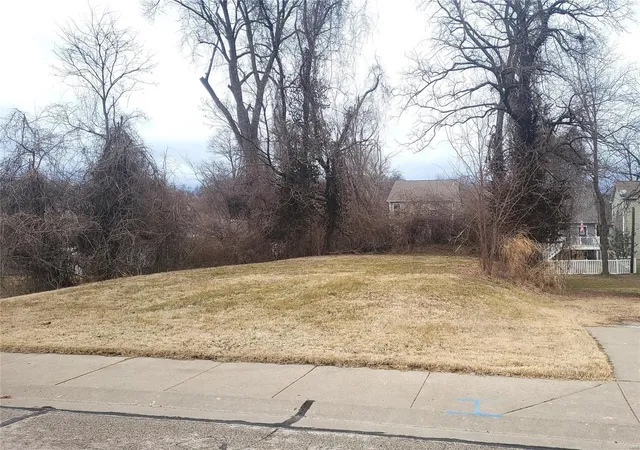 Photo 2 of Land for sale at 314 Vest Ave, Valley Park, MO 63088 | MLS# 25004687 | Listing updated on 2025-02-04