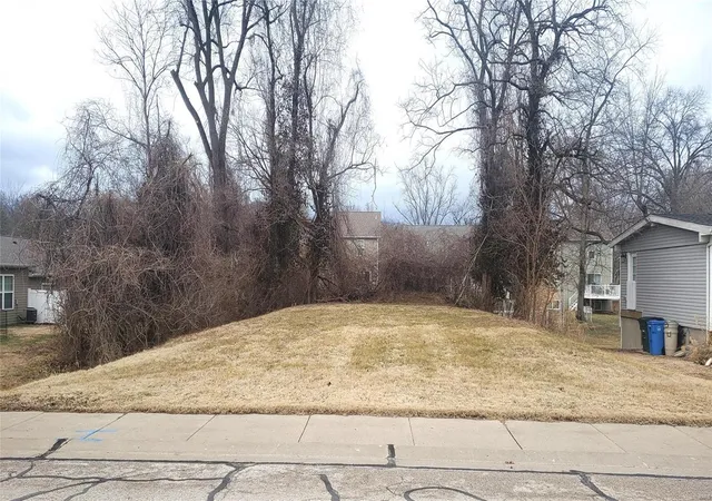 Photo 3 of Land for sale at 314 Vest Ave, Valley Park, MO 63088 | MLS# 25004687 | Listing updated on 2025-02-04