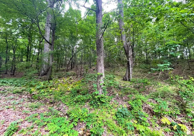 Photo 3 of Land for sale at 0 Chalk Bluff Trails, Lots 13 17, Dexter, MO 63841 | MLS# 25004877 | Listing updated on 2025-01-30