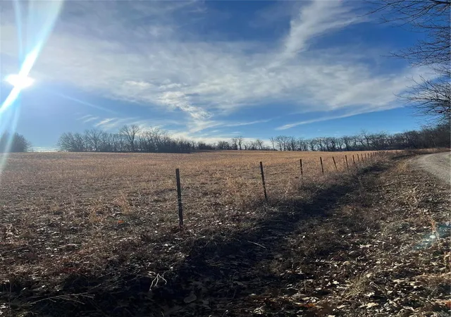 Photo 1 of Land for sale at 38639 Bcr 254, Sedgewickville, MO 63781 | MLS# 25005037 | Listing updated on 2025-01-30